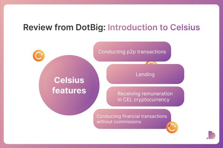 Отзвуки и обзоры брокера DotBig